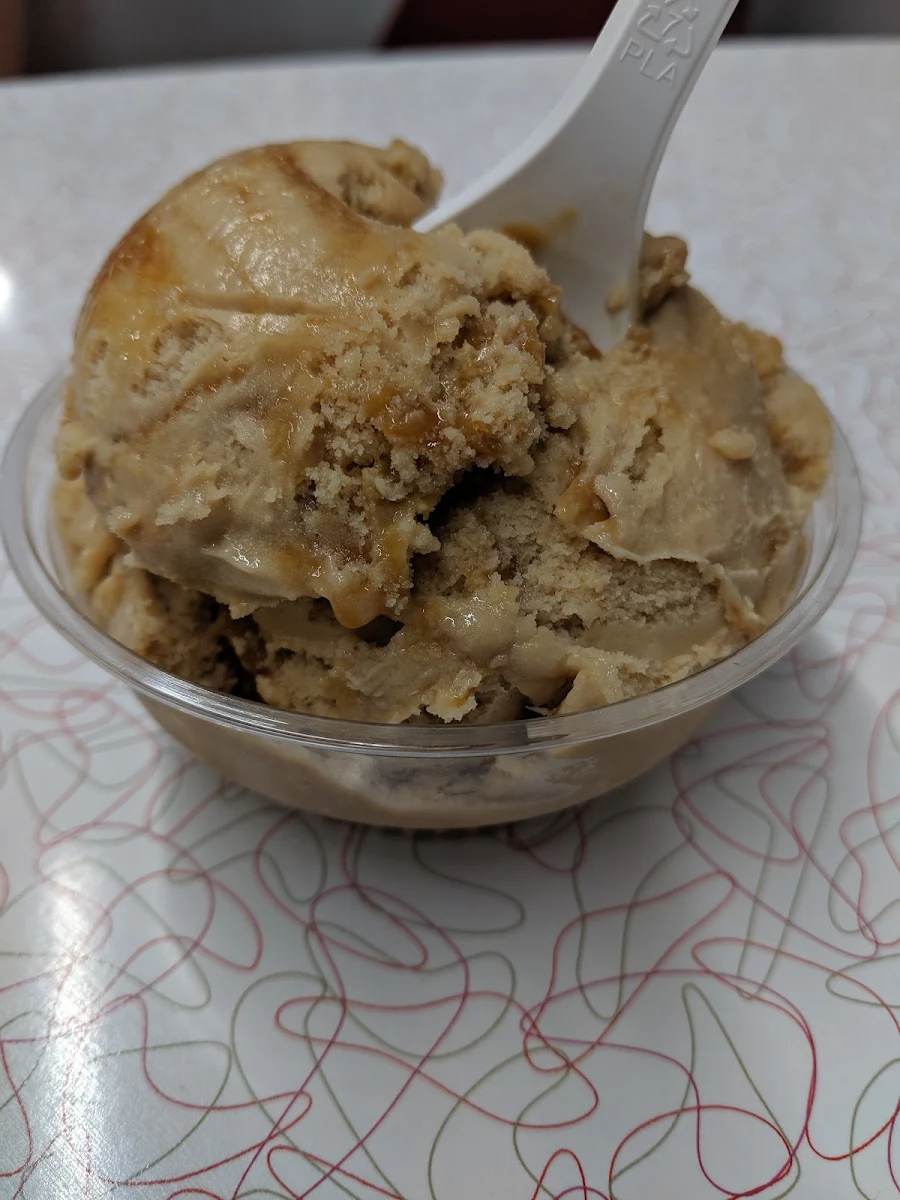 Sugar Free Mocha Ice Cream