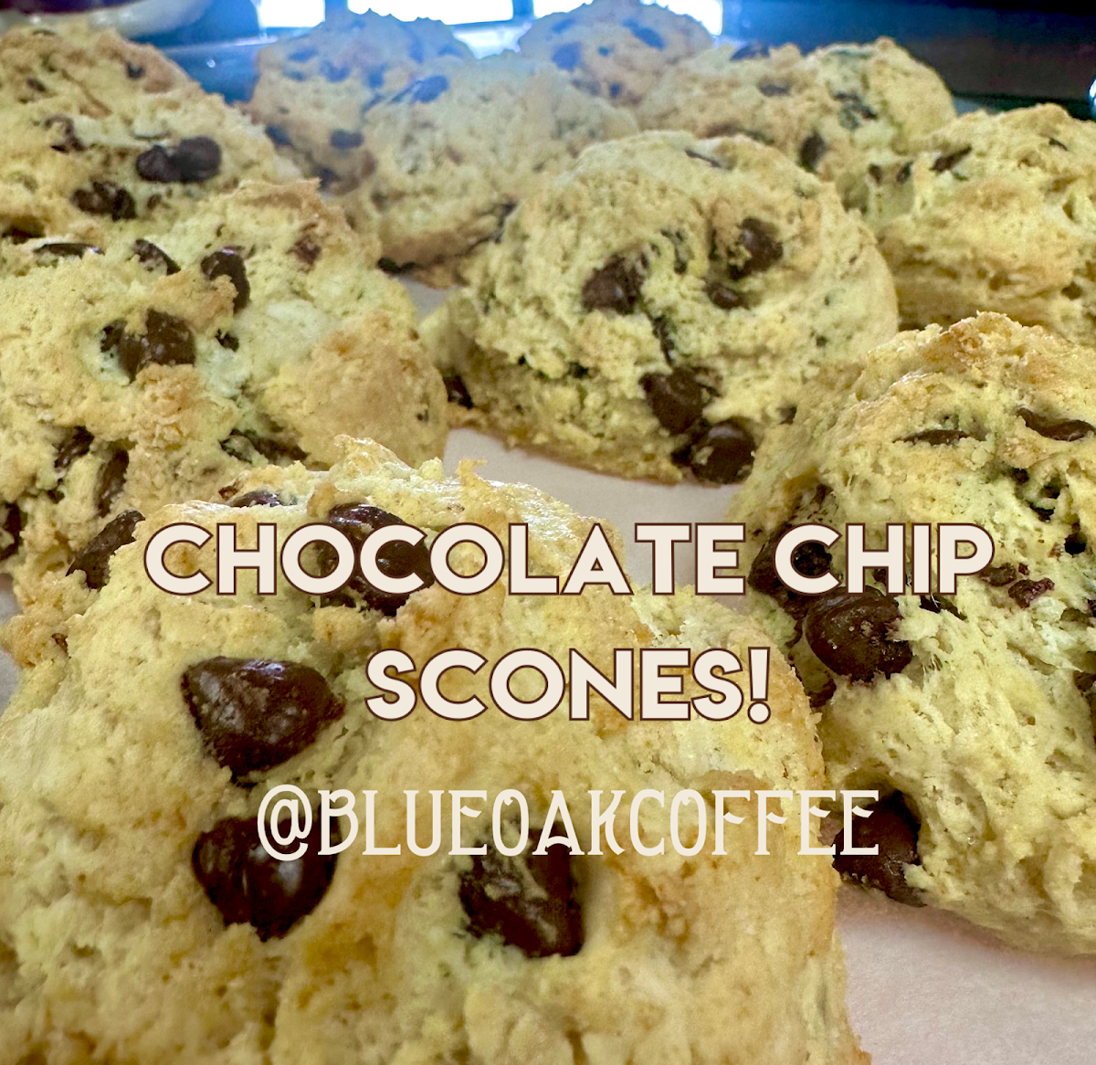 Chocolate Chip