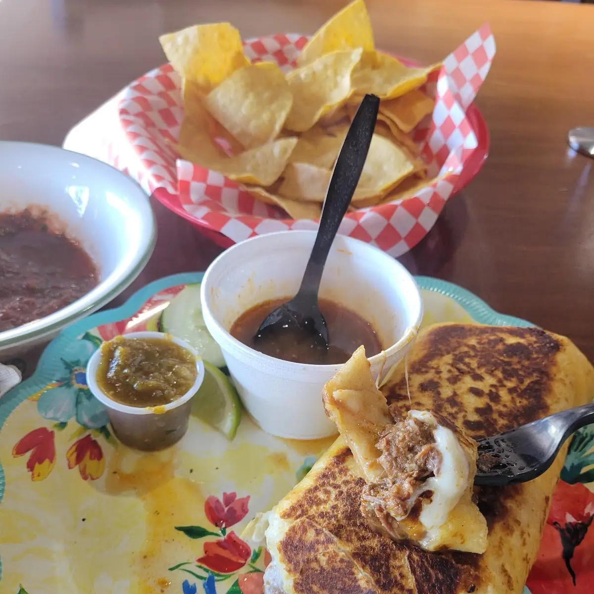 Birria Burrito