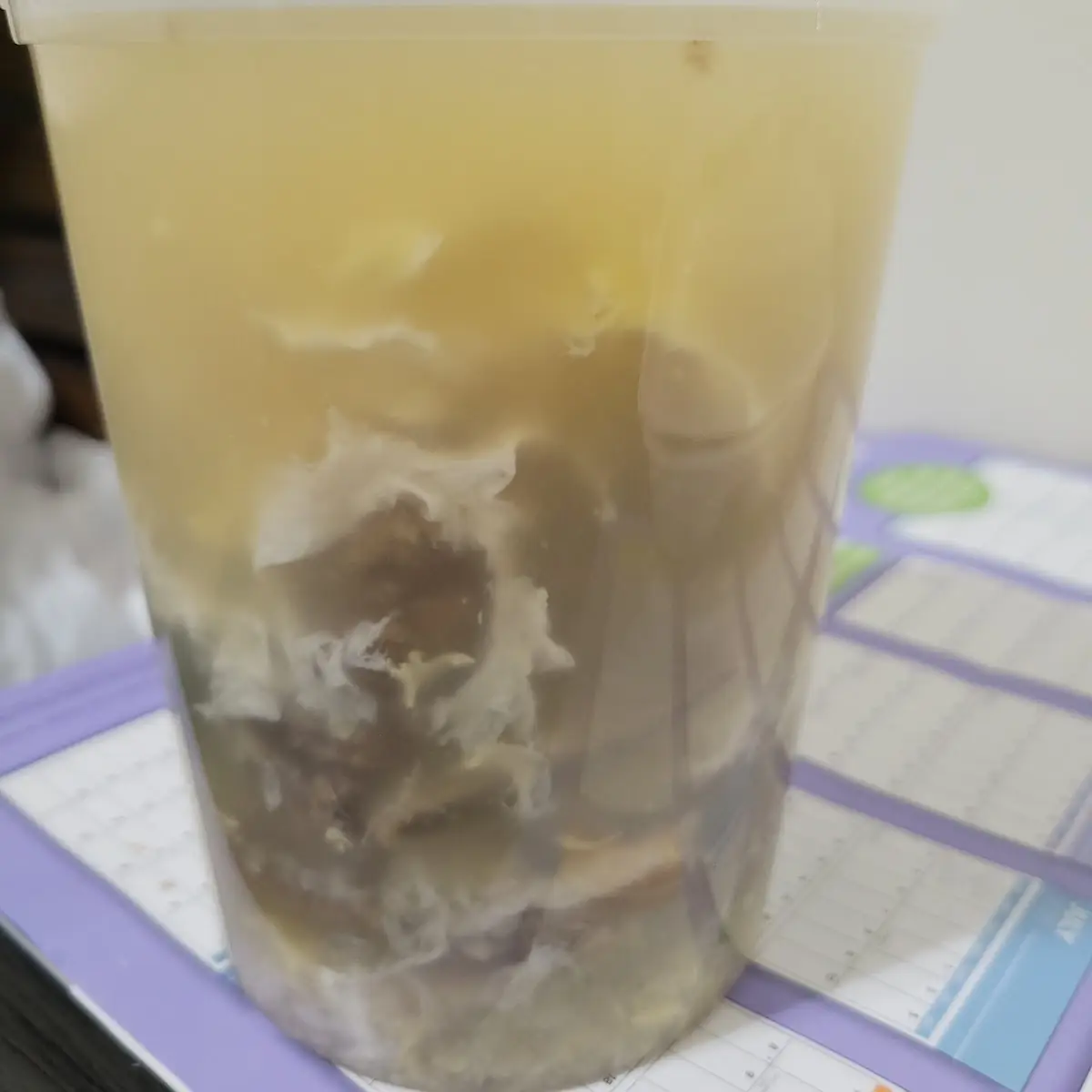 Galbi Tang