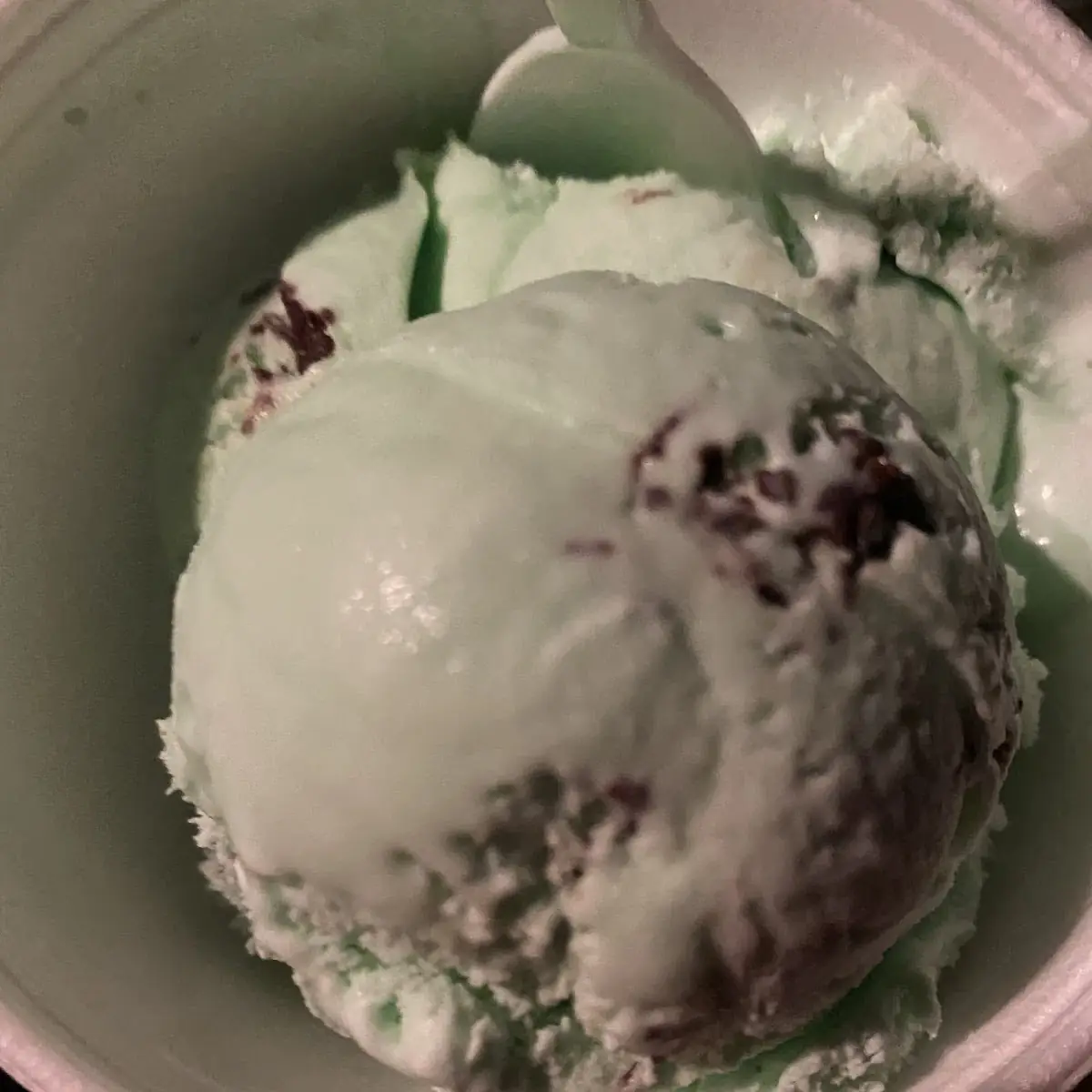 Mint Chocolate Chip