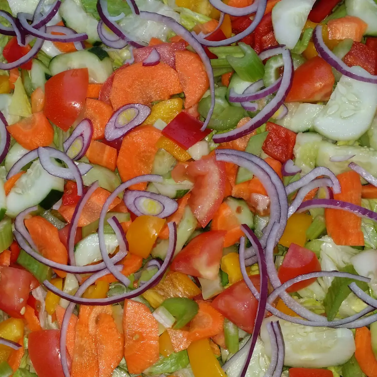 Tossed Garden Salad