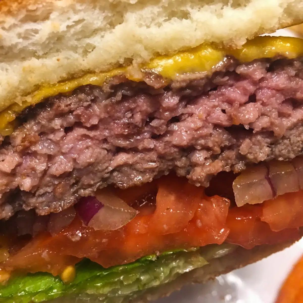 Bison Cheese Burger