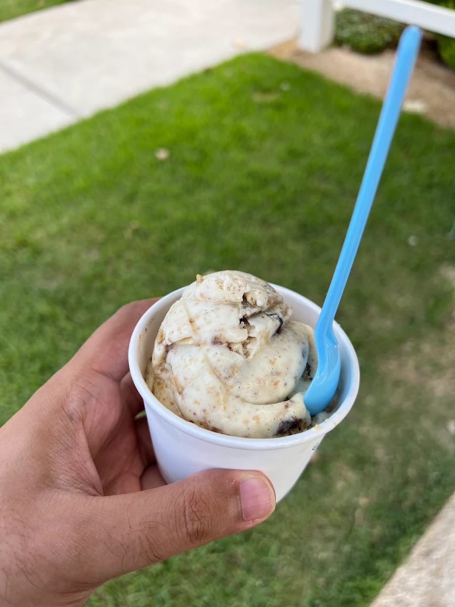 Vanilla Ice Cream with Chocolate Chip Cookie Chunks