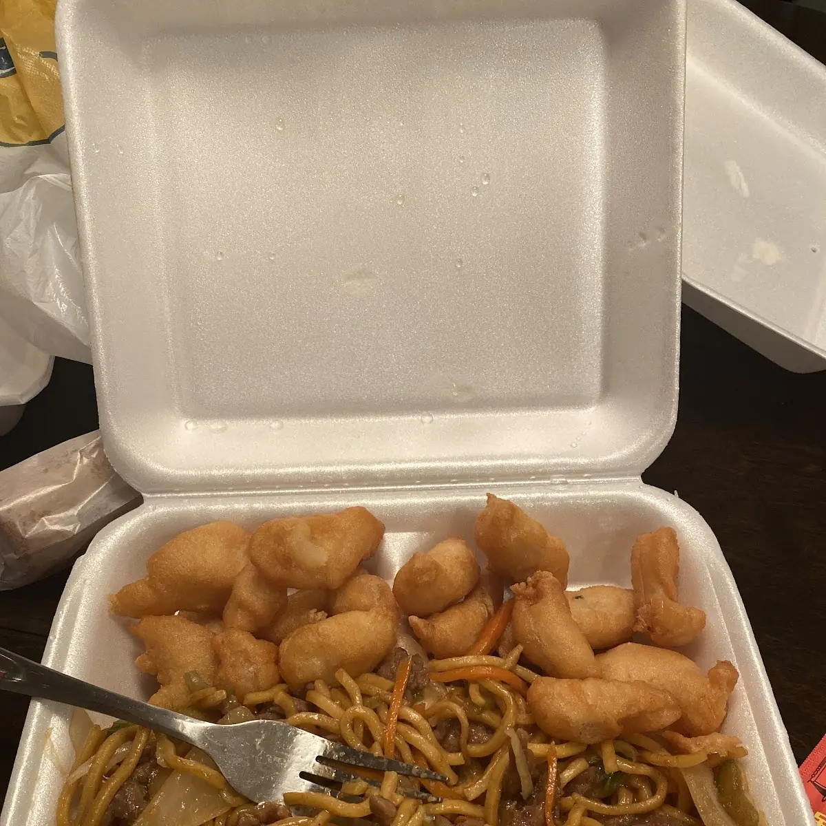Half Shrimp Lo Mein & Shrimp Fried Rice