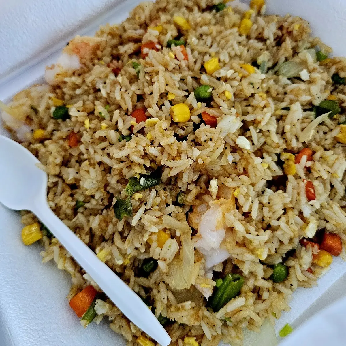 Landwalker Fried Rice