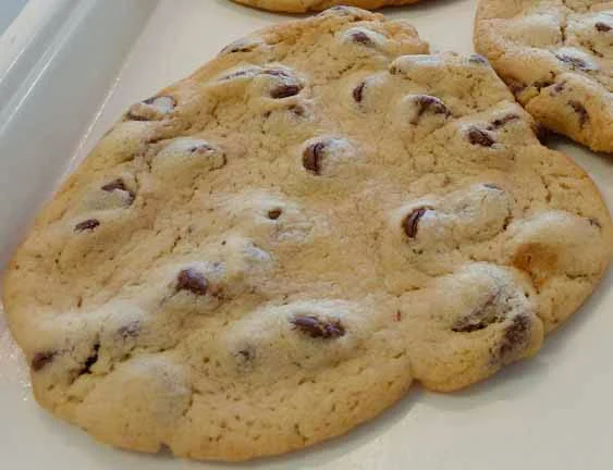 Chocolate Chip Cookie