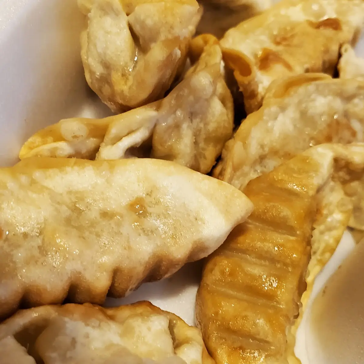 Gyoza