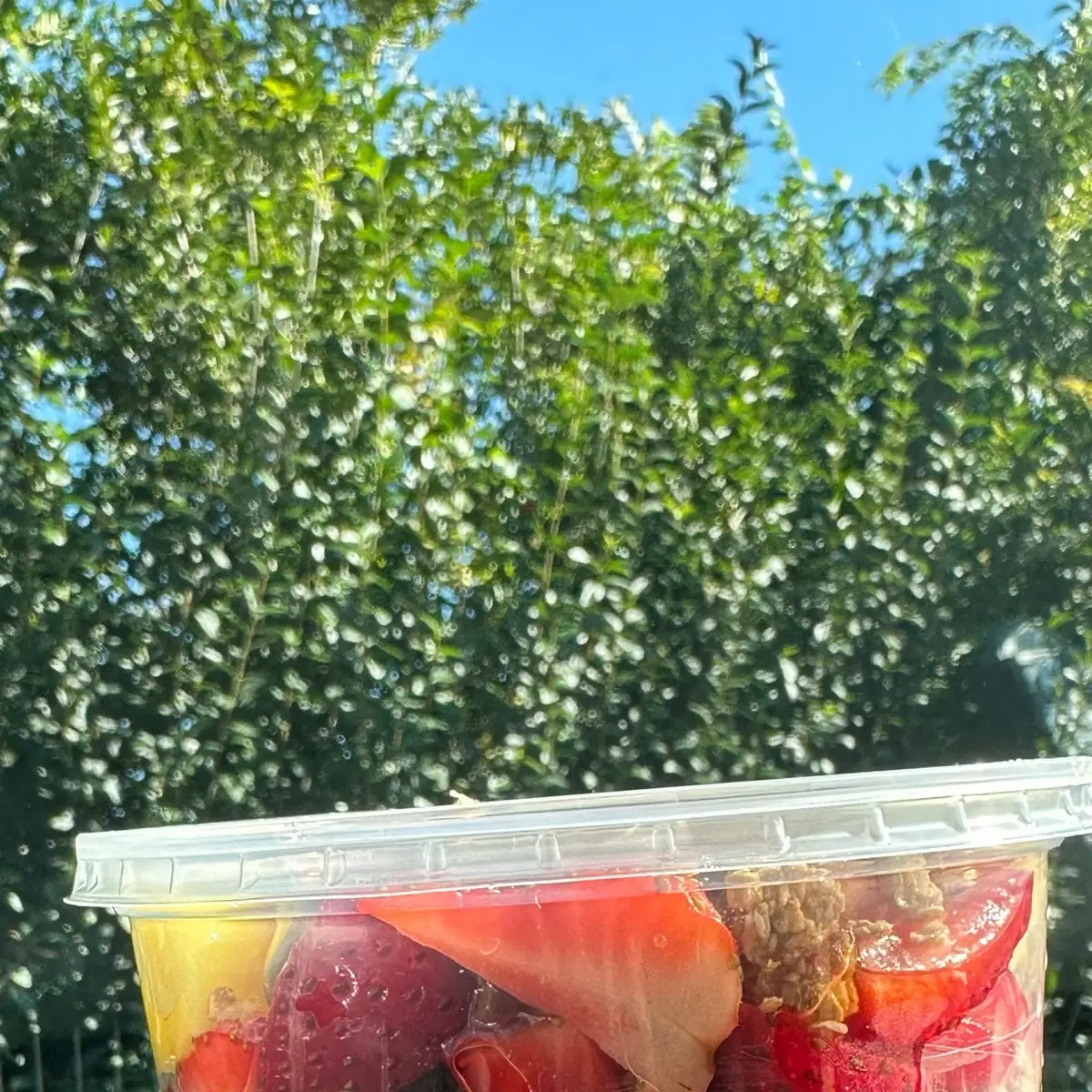 Açaí Bowl