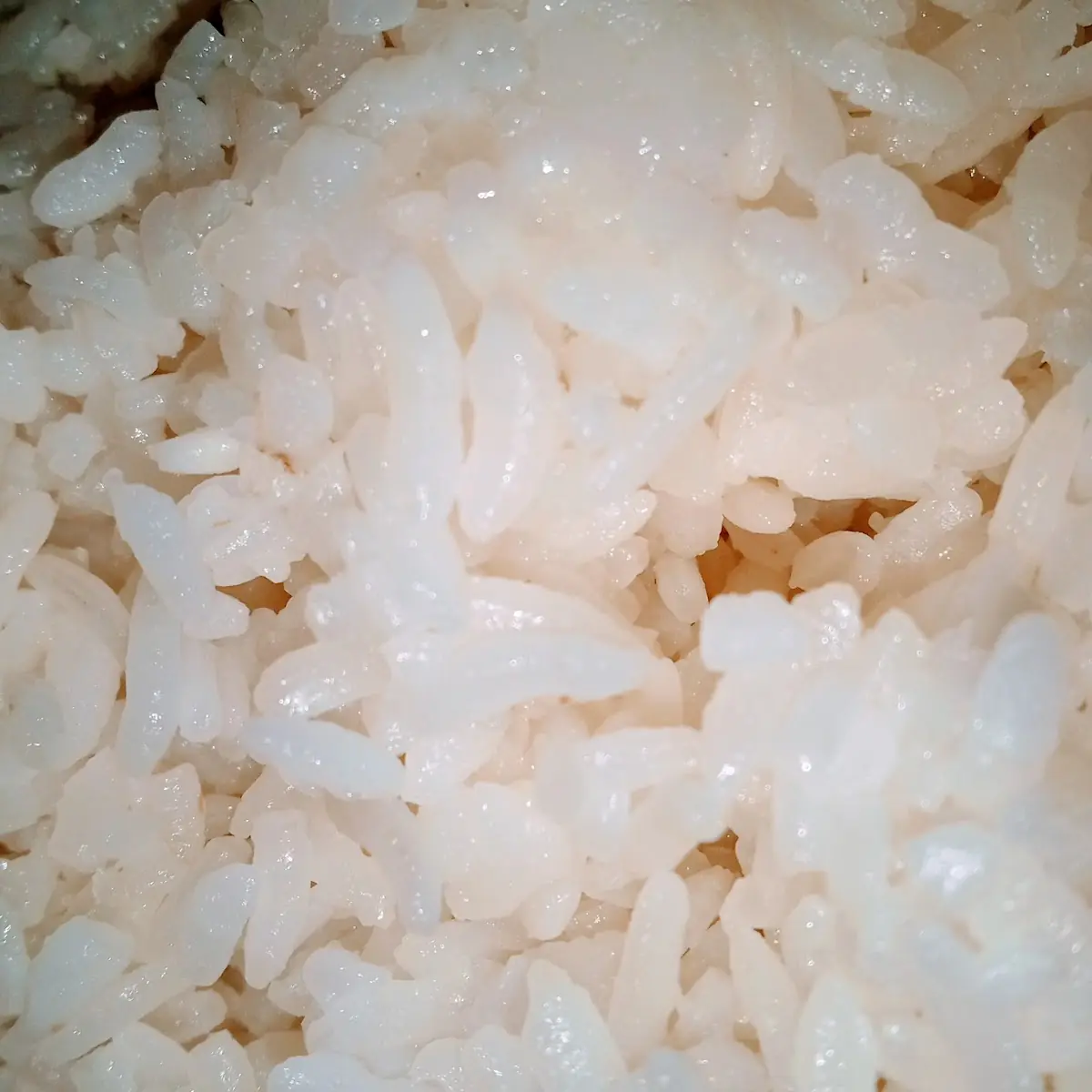 White Rice