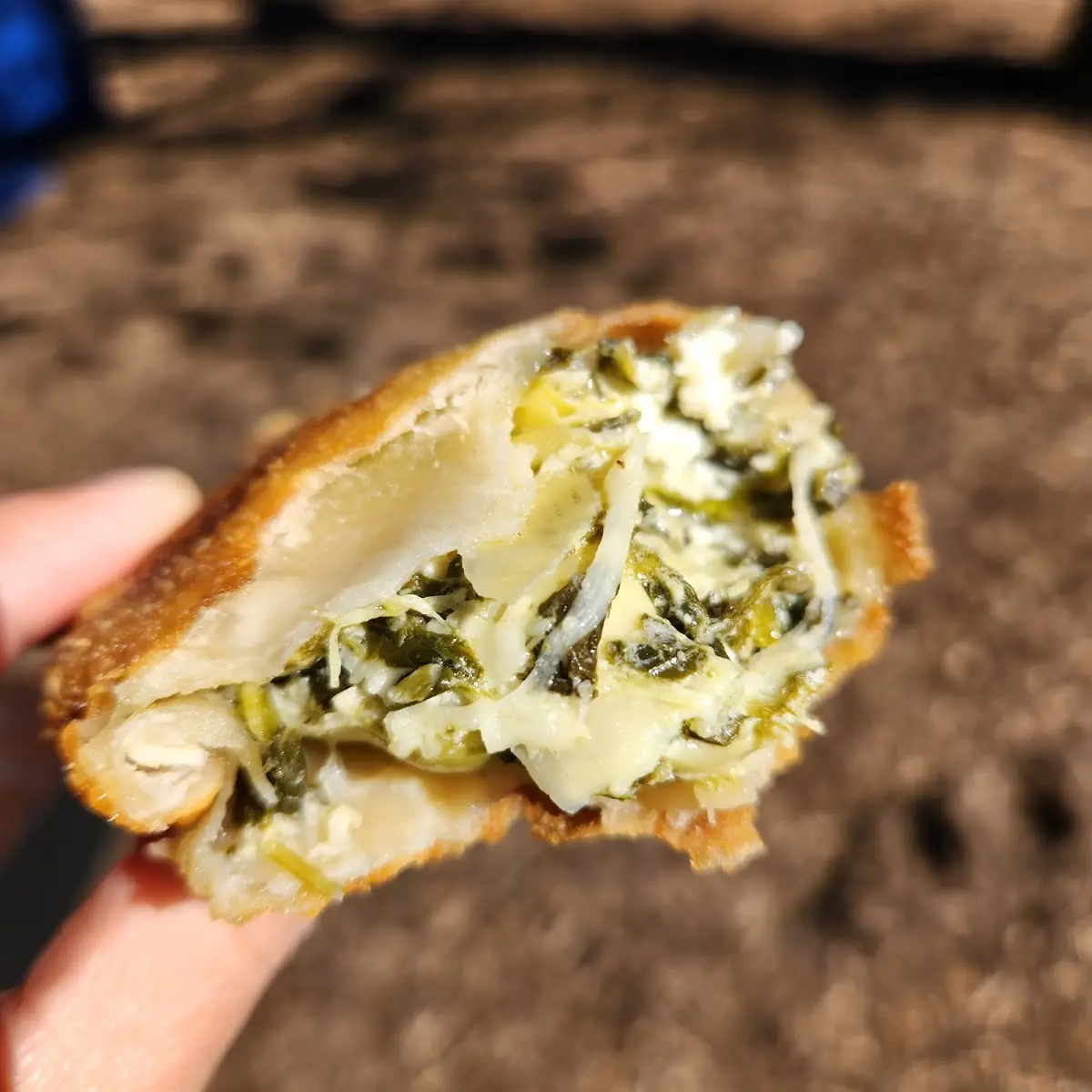 Spinach Artichoke Empanada