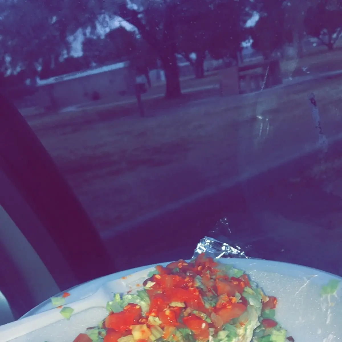 Rolled Tacos