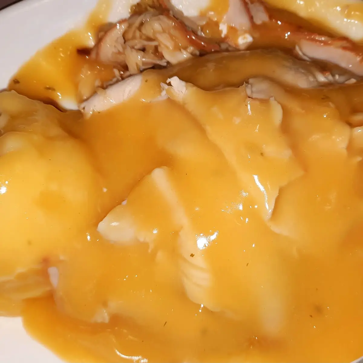 Hot Roast Turkey