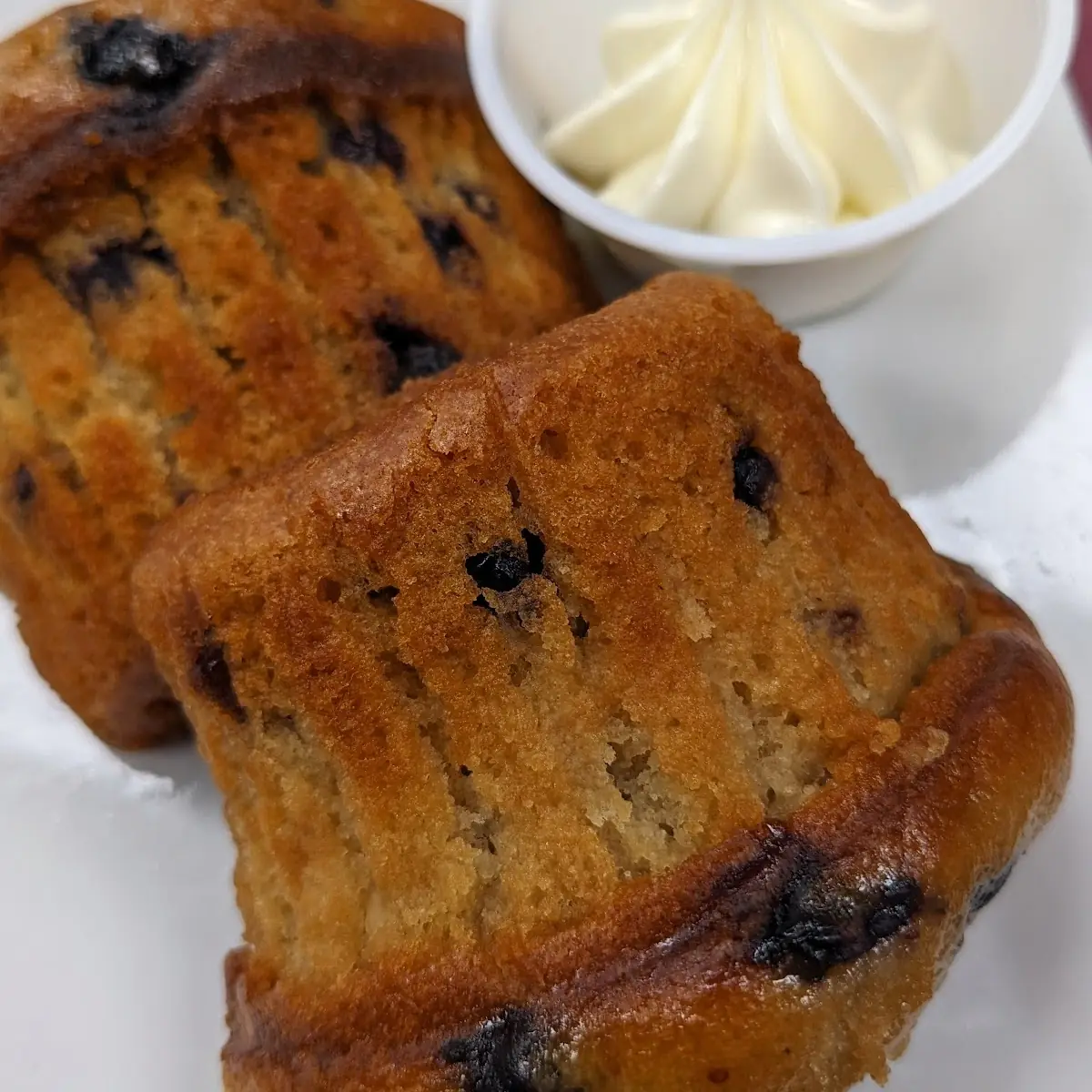 Blueberry Muffin
