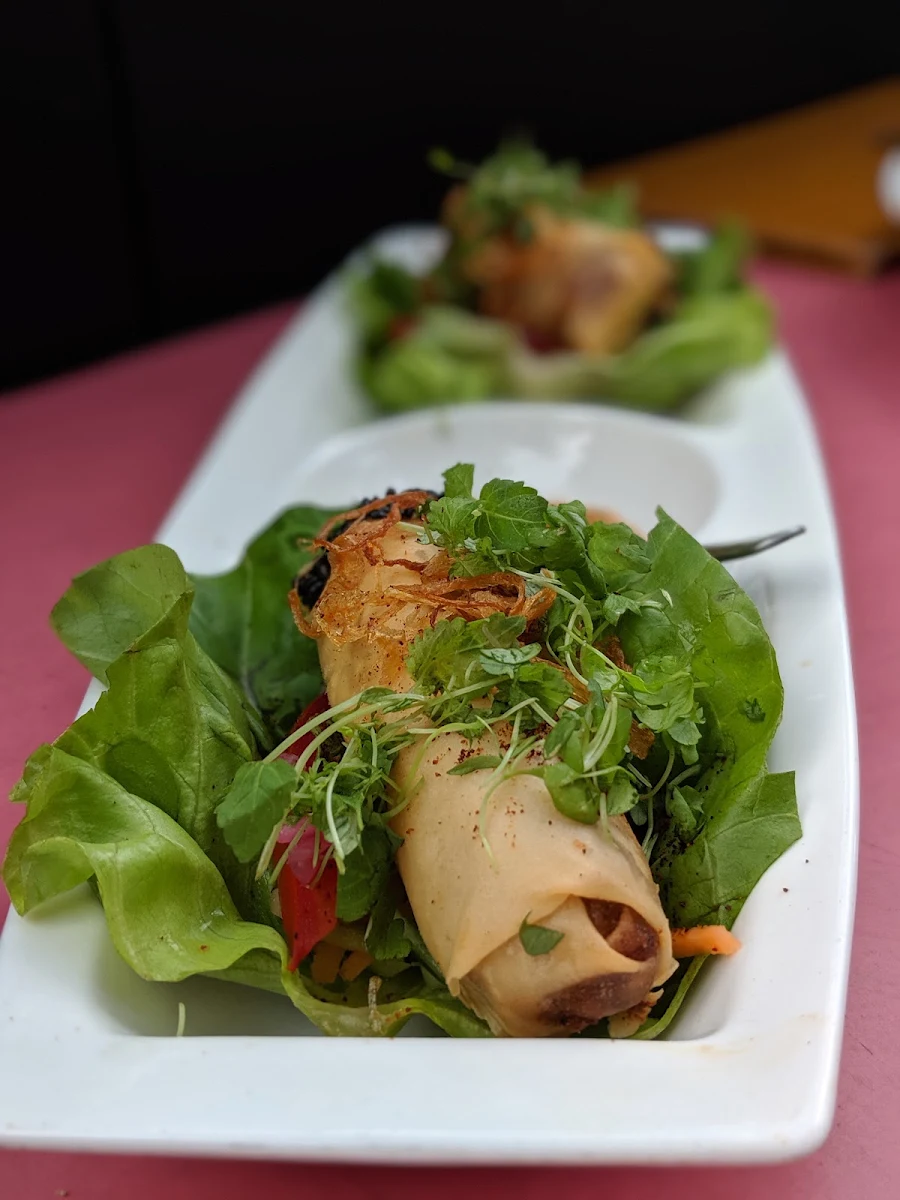 Cheeseburger Spring Rolls, Lee