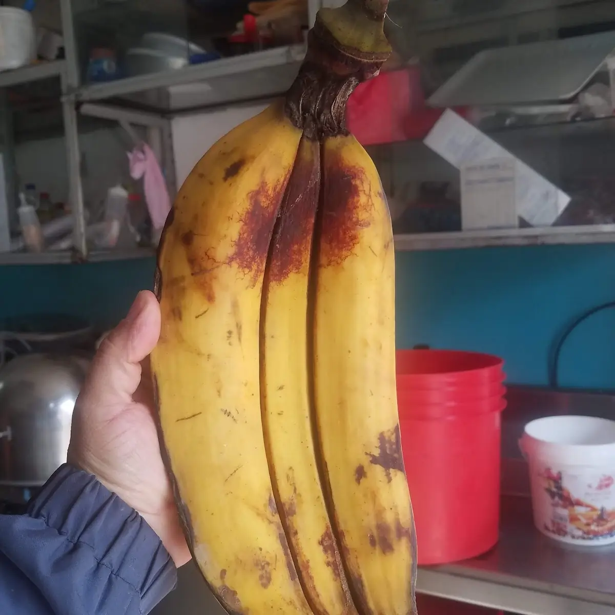 Ripe Plantains
