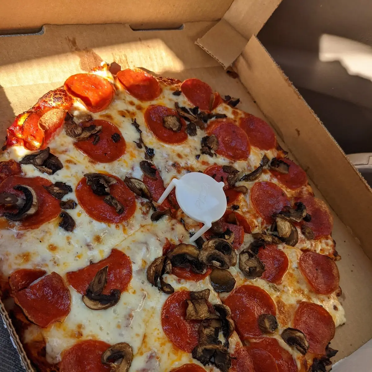 Medium Pepperoni Mushroom Pizza