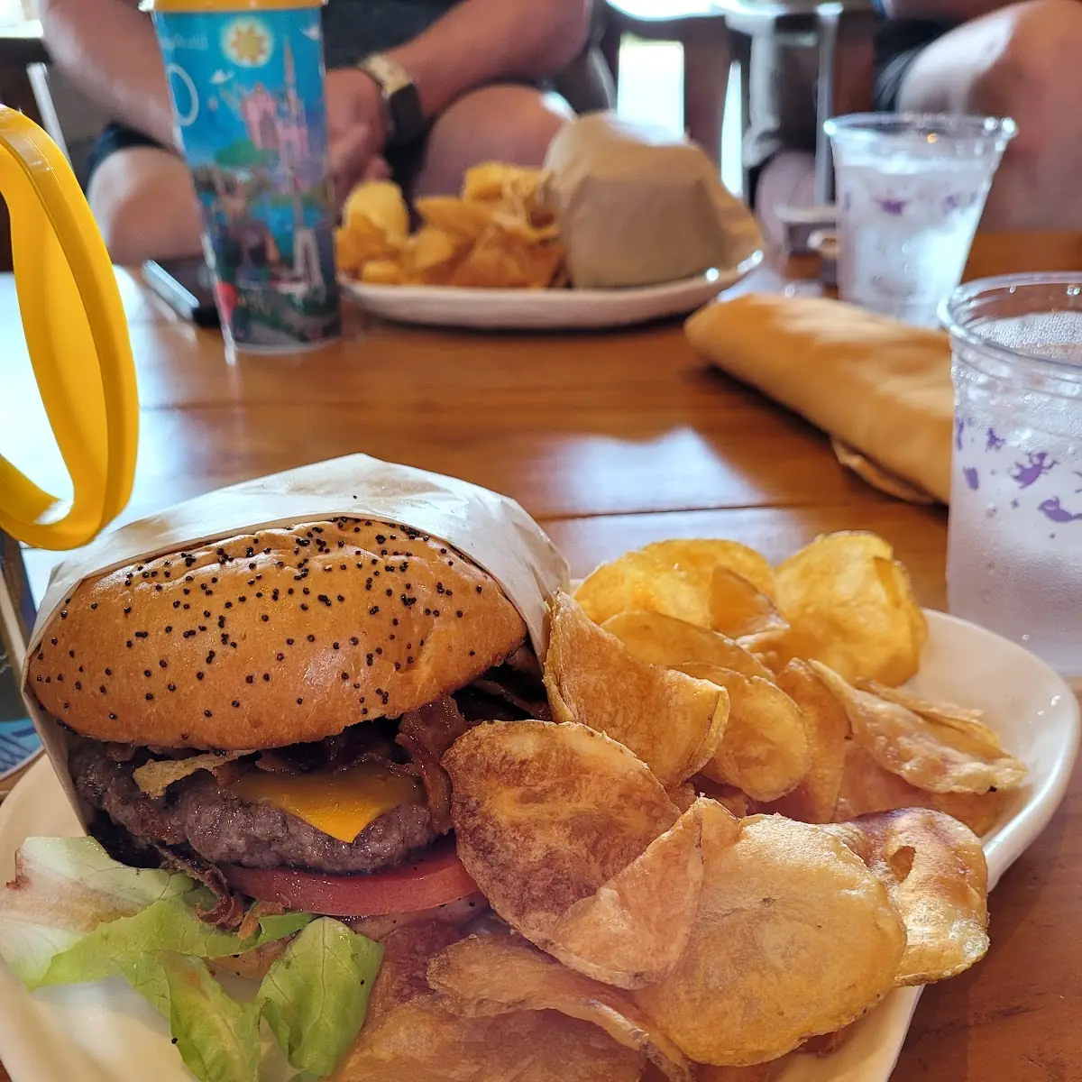 Bison Bacon Cheeseburger