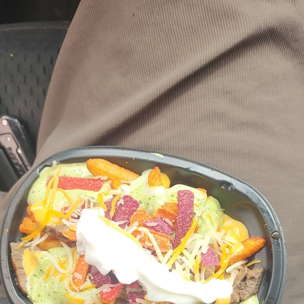 Steak Chile Verde Fries