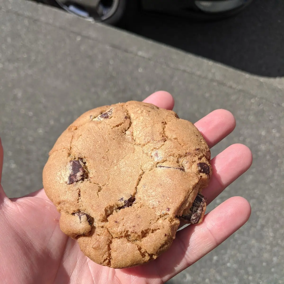 Chocolate Chip Cookie