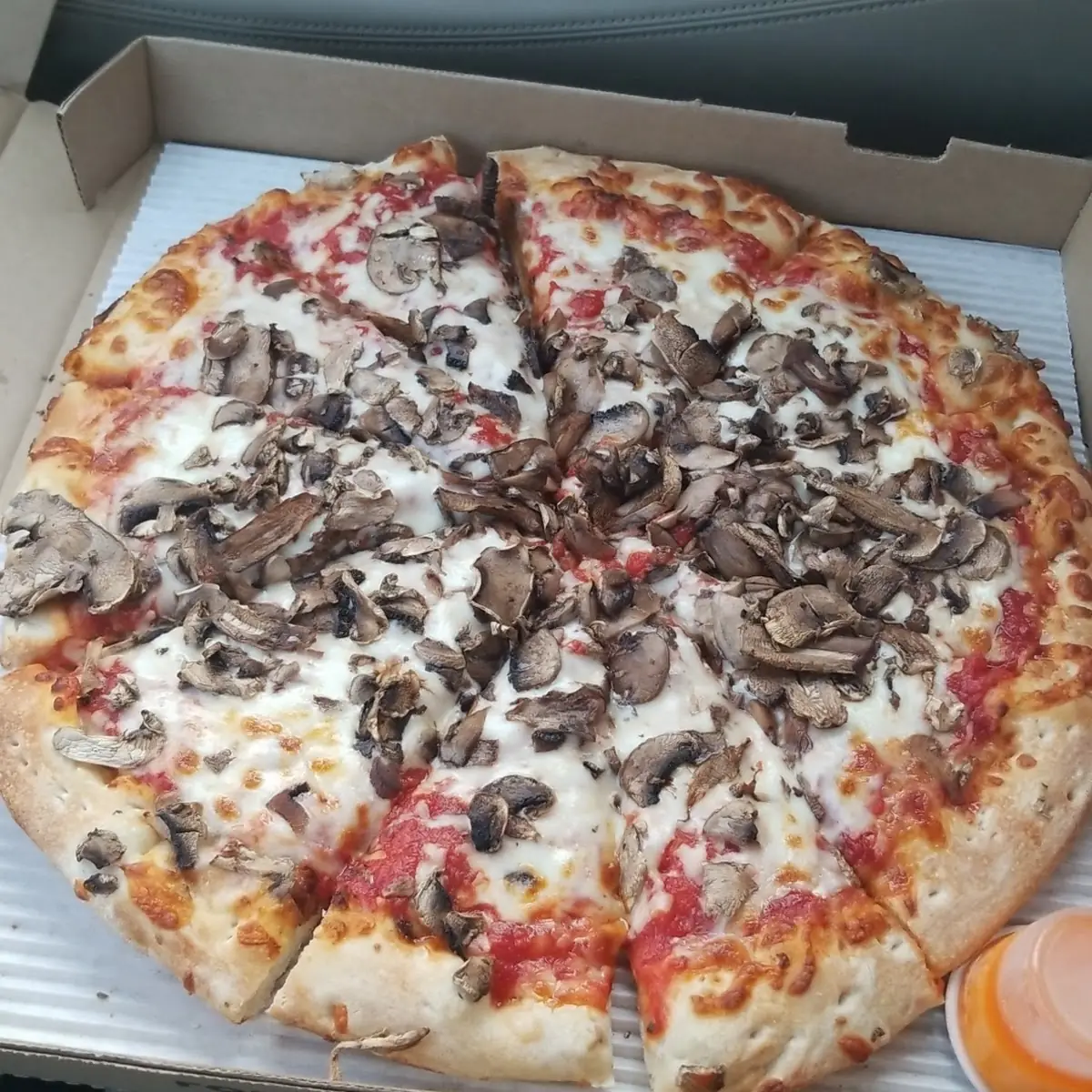 Mushroom Pizza