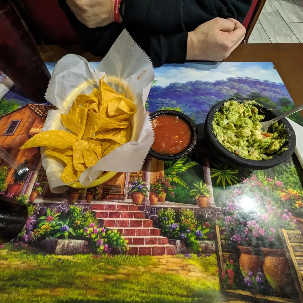 Guacamole and Chips Salsa