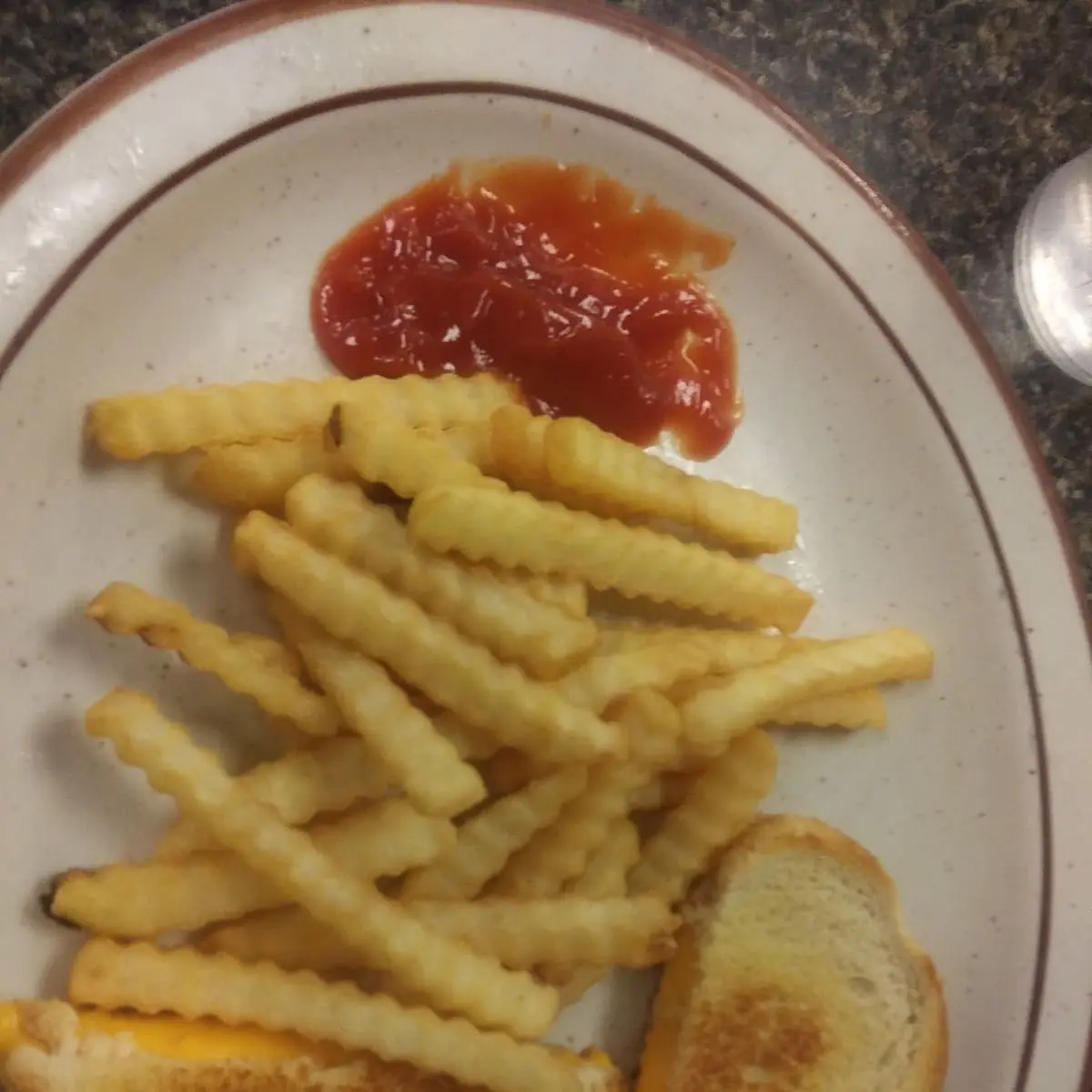 Grilled Cheese with Fries