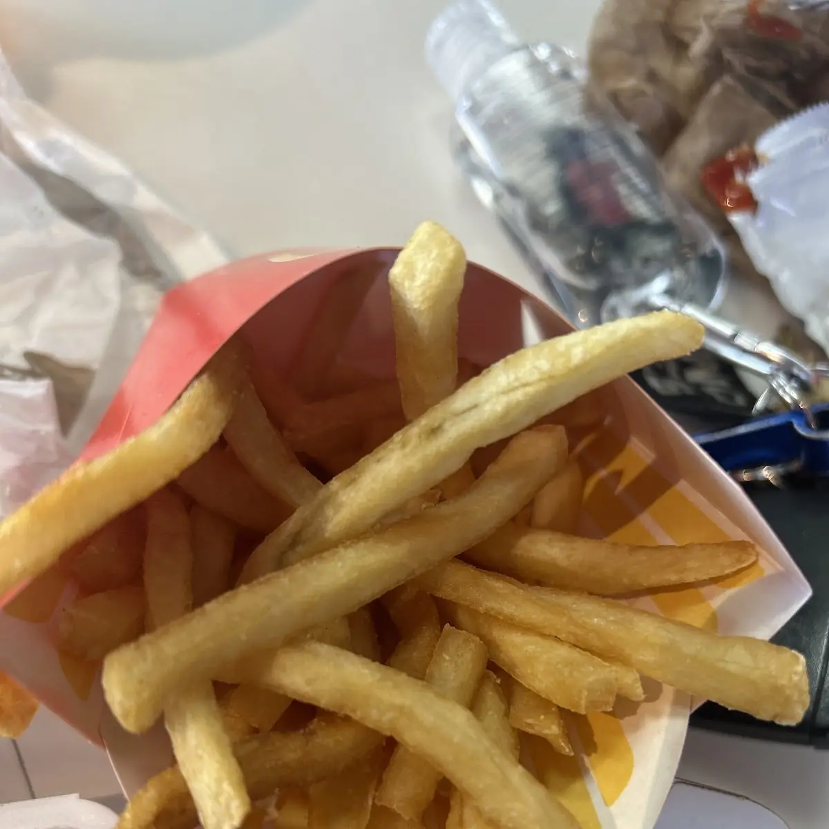 World Famous Fries