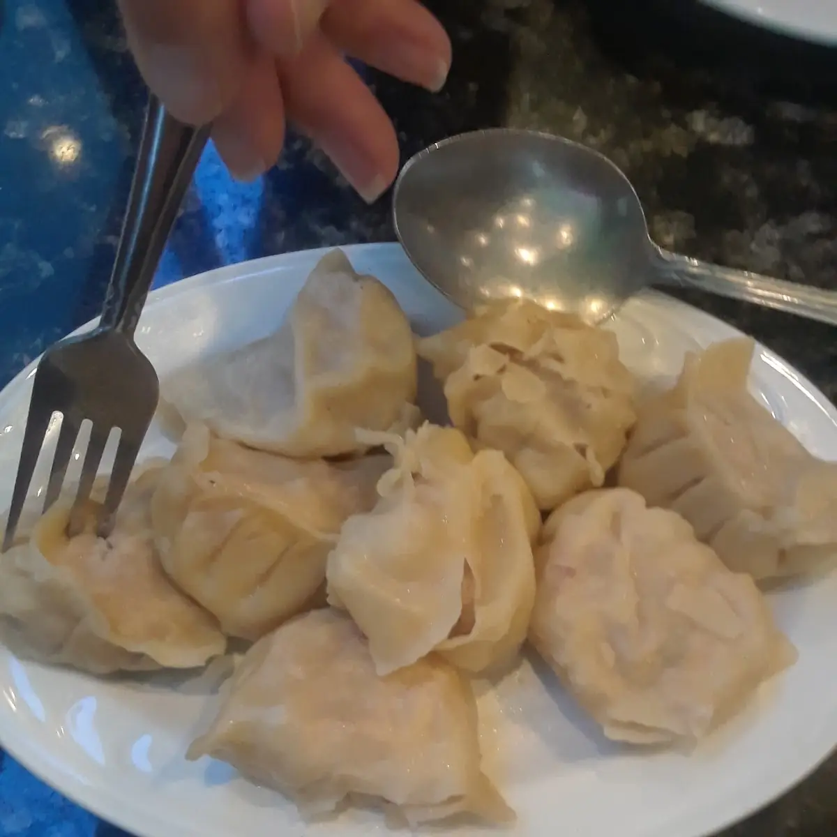 Pot Stickers Steamed