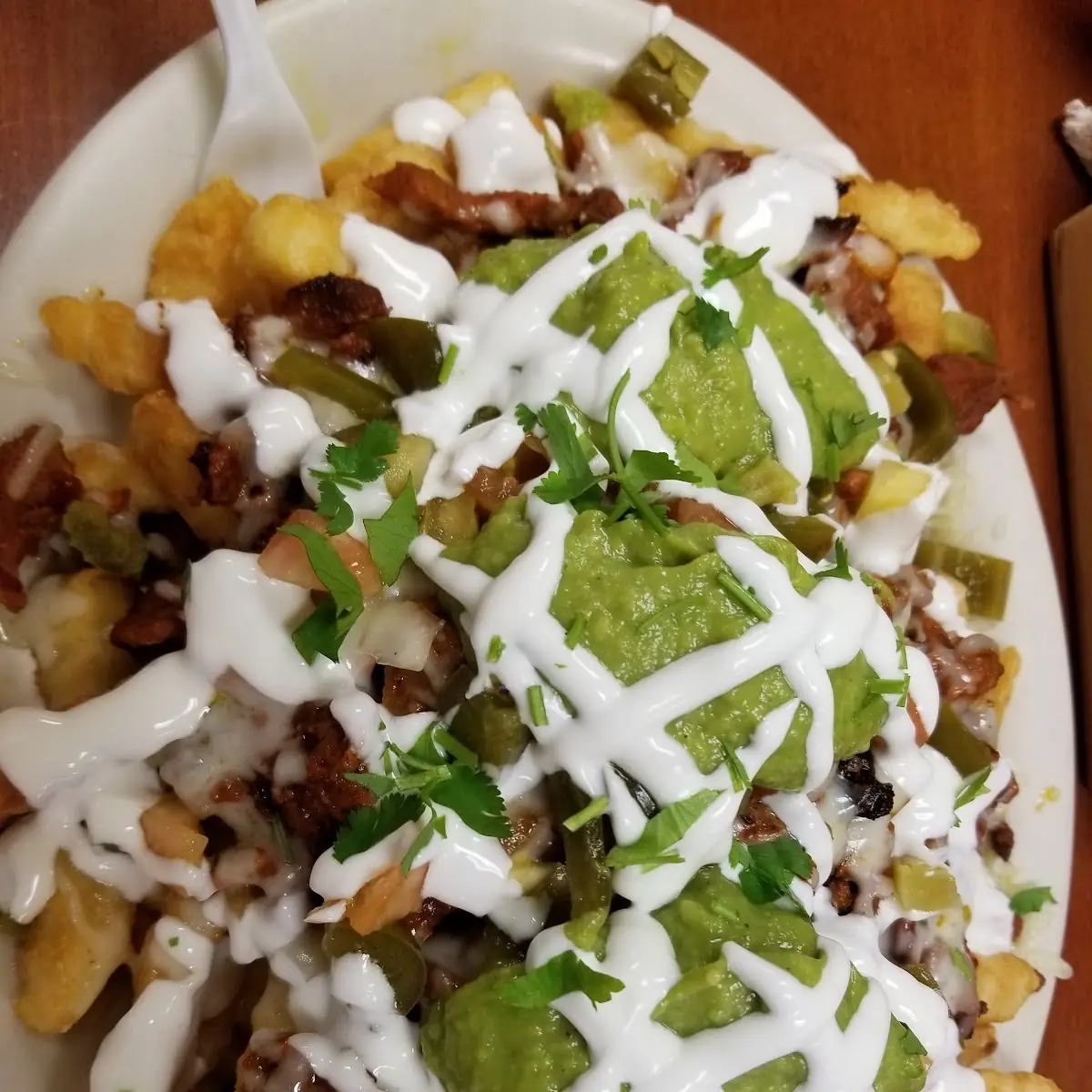 Carne Asada Fries