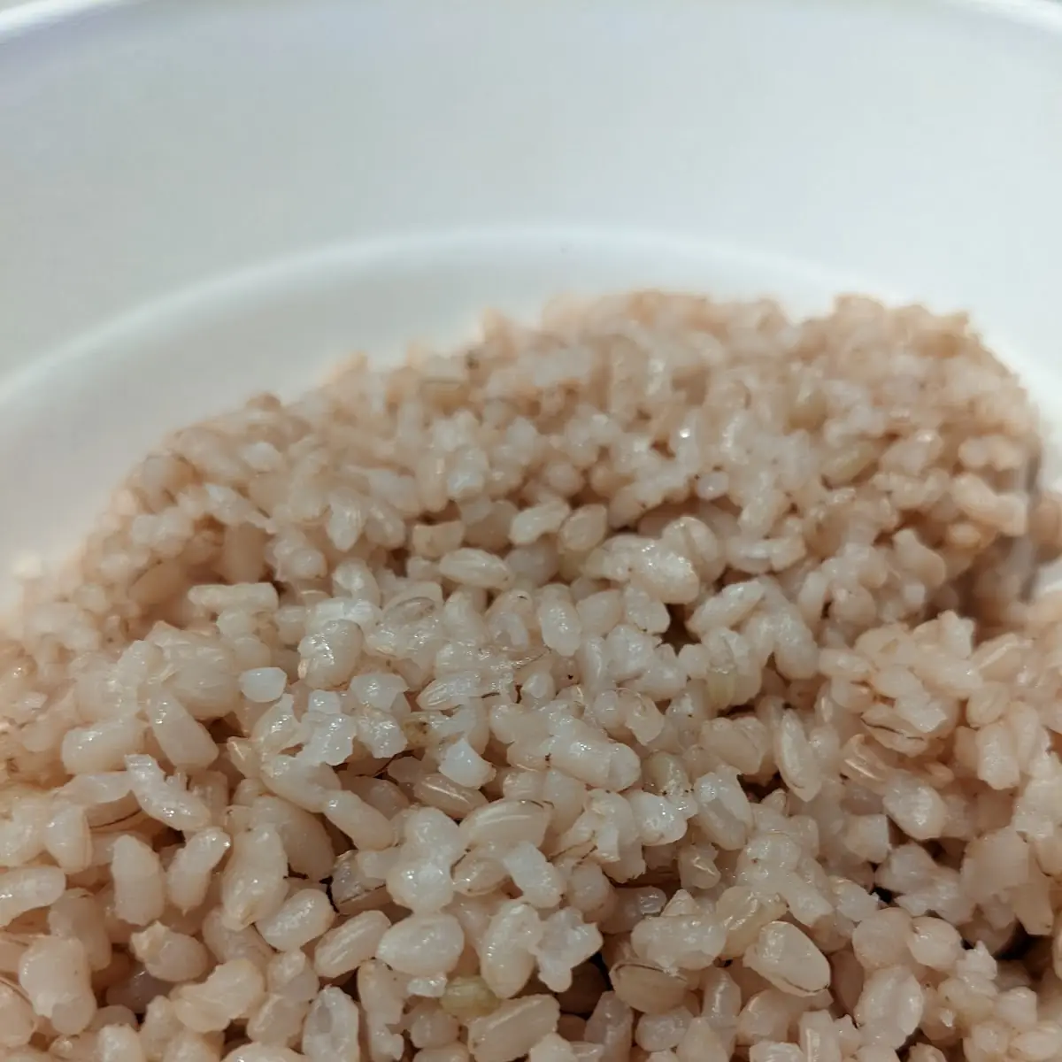 Brown Rice