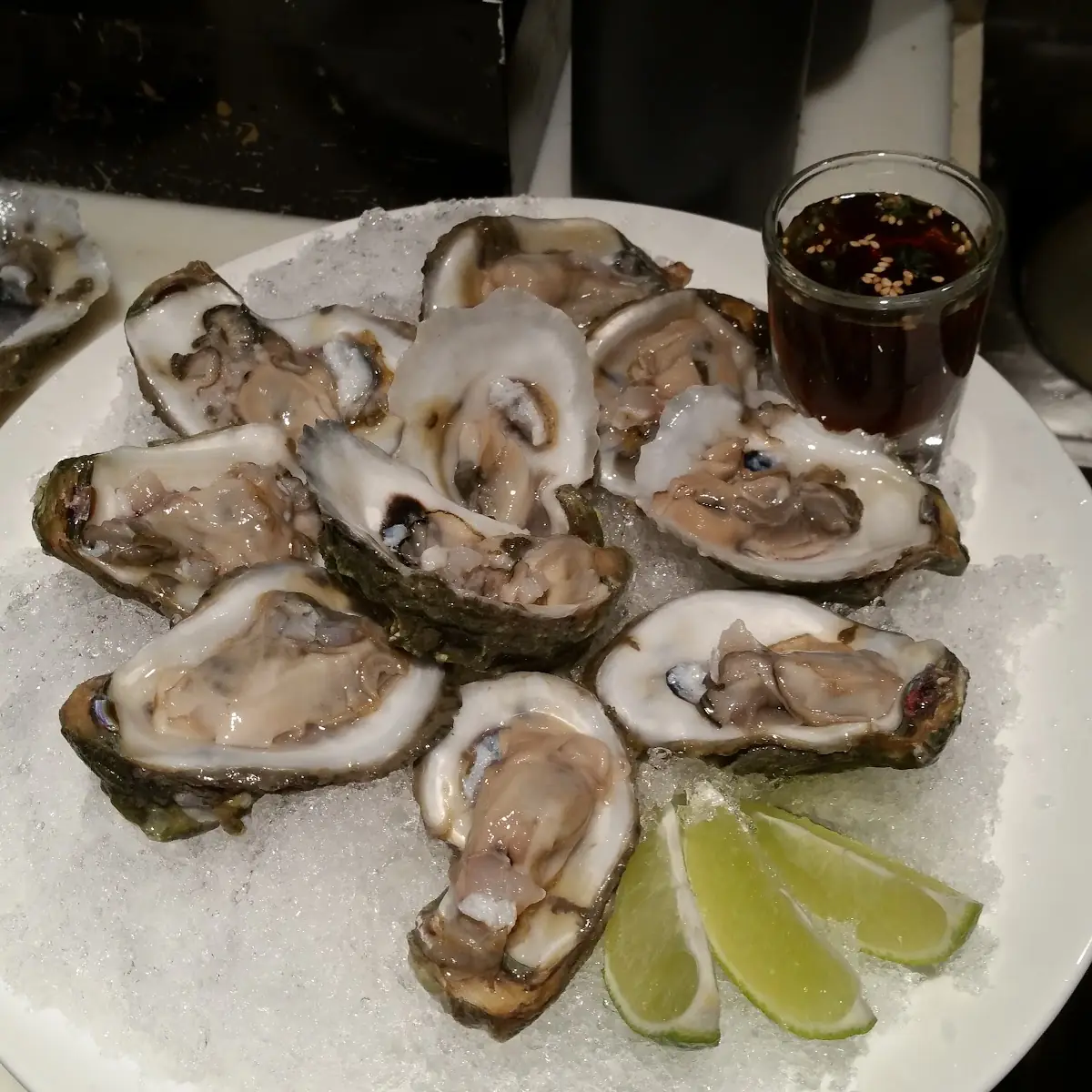 Fresh Oysters