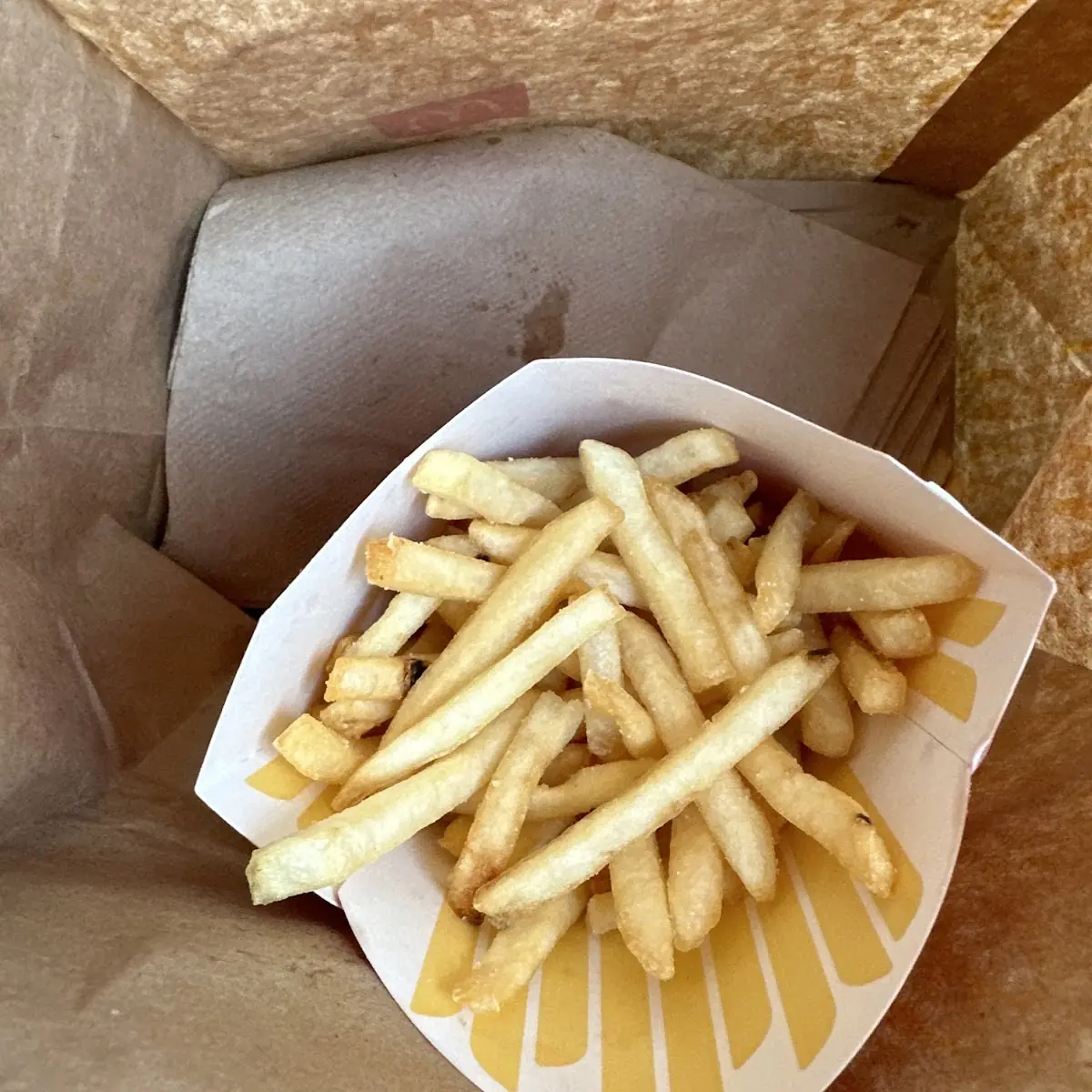World Famous Fries