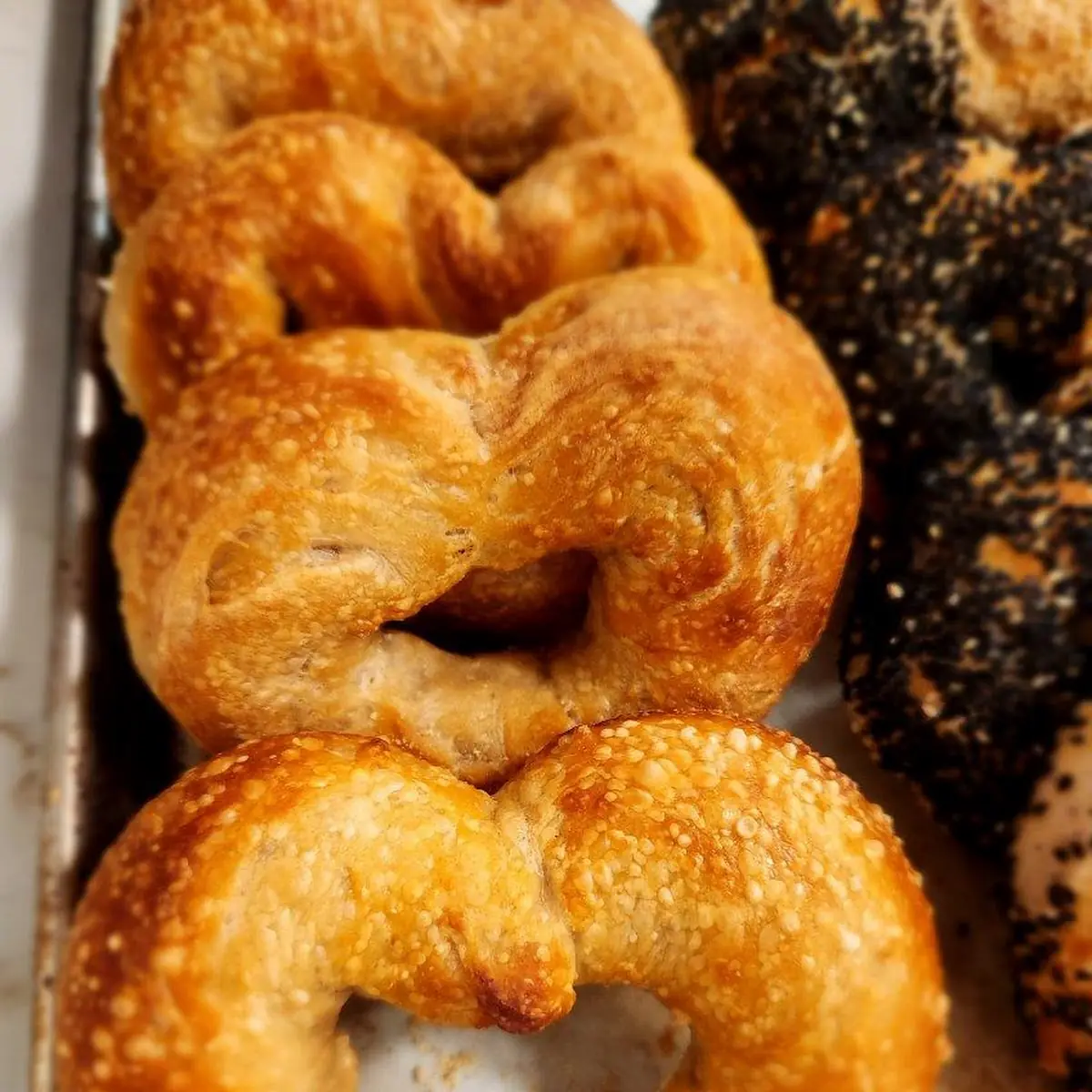Plain Bagel