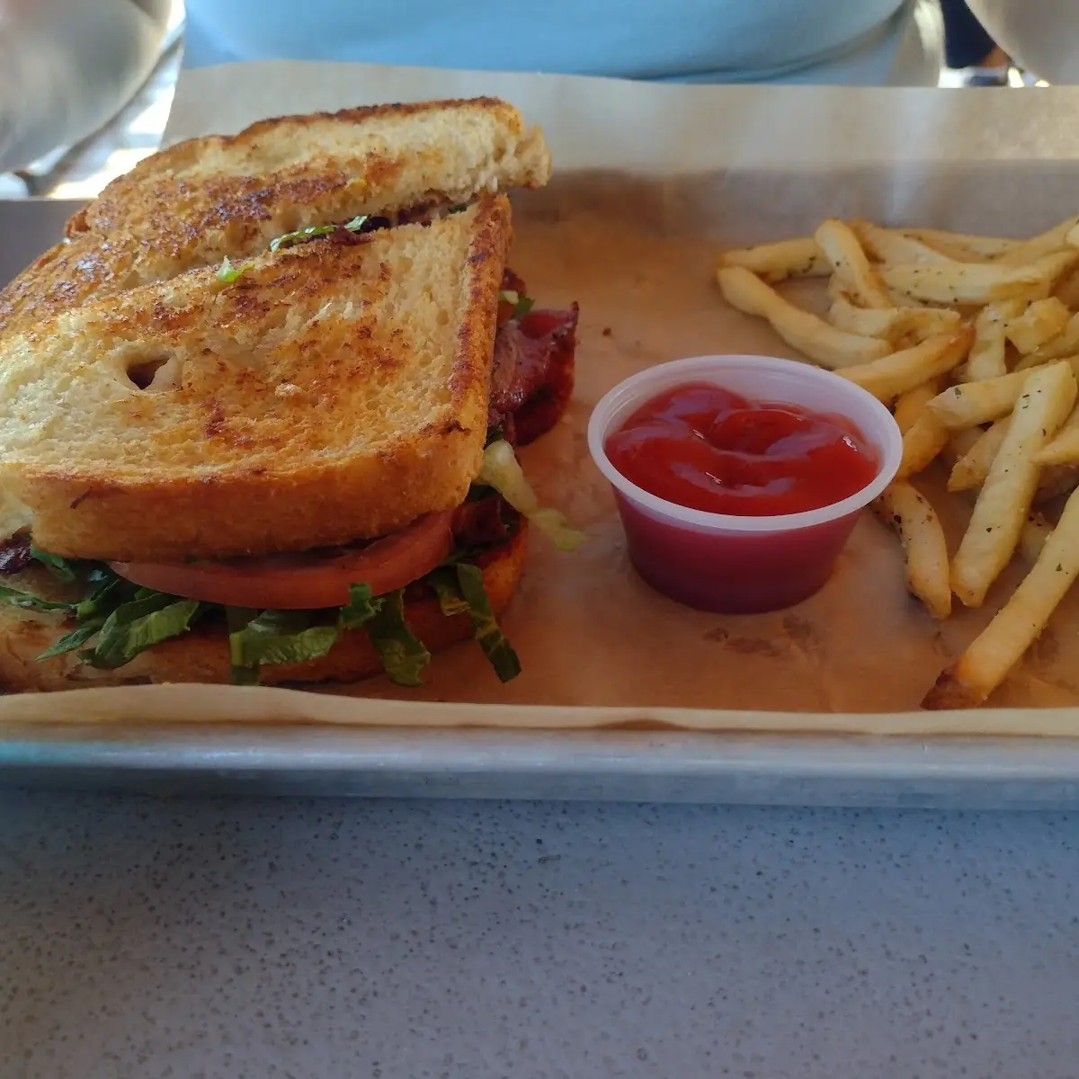 Kids Grilled Cheese and Fries