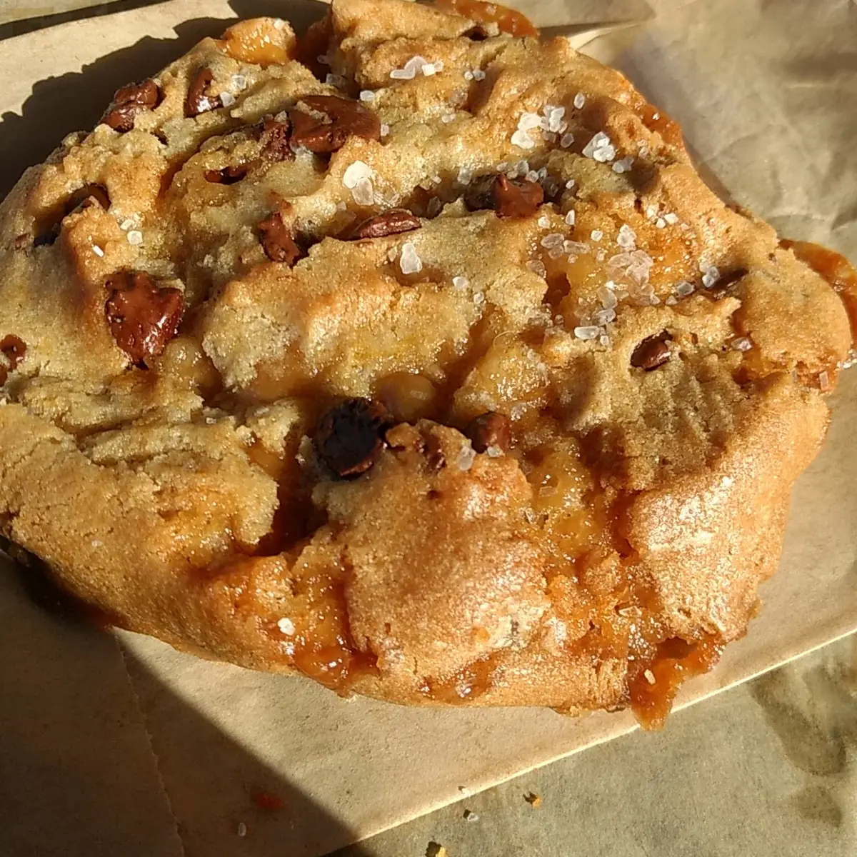 Salted Caramel & Chocolate Cookie