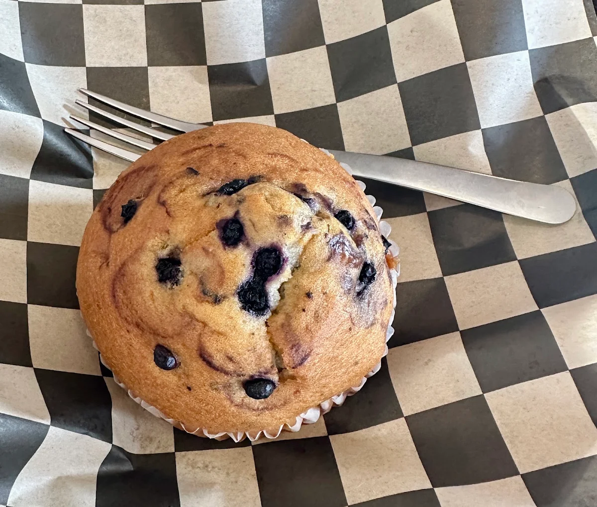 Blueberry Muffin