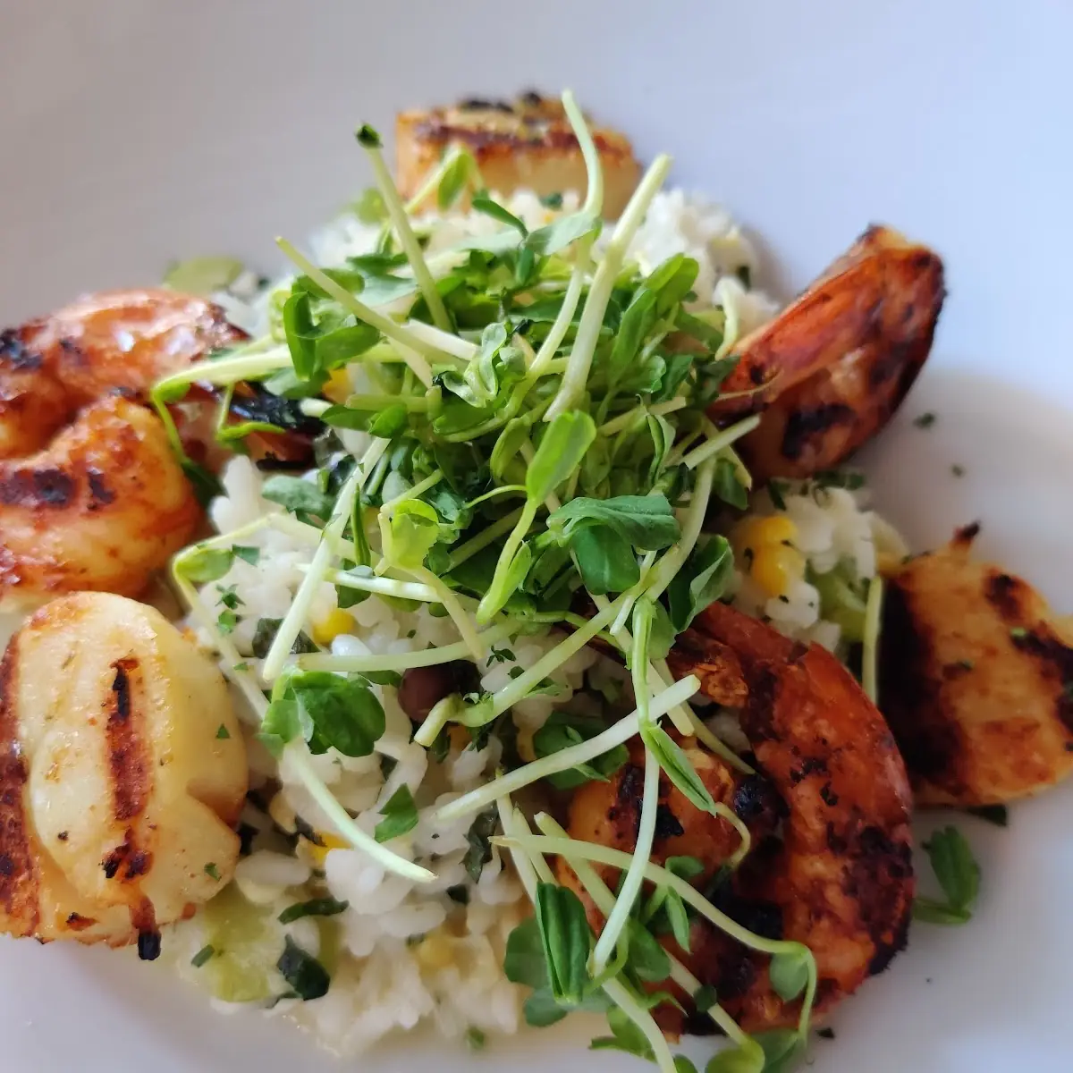 Seafood Risotto