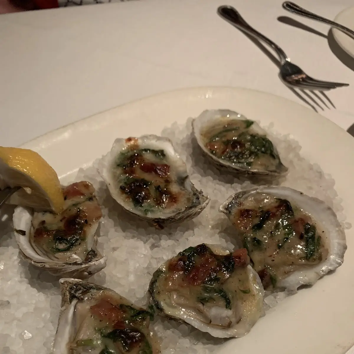 Fresh Oysters Served