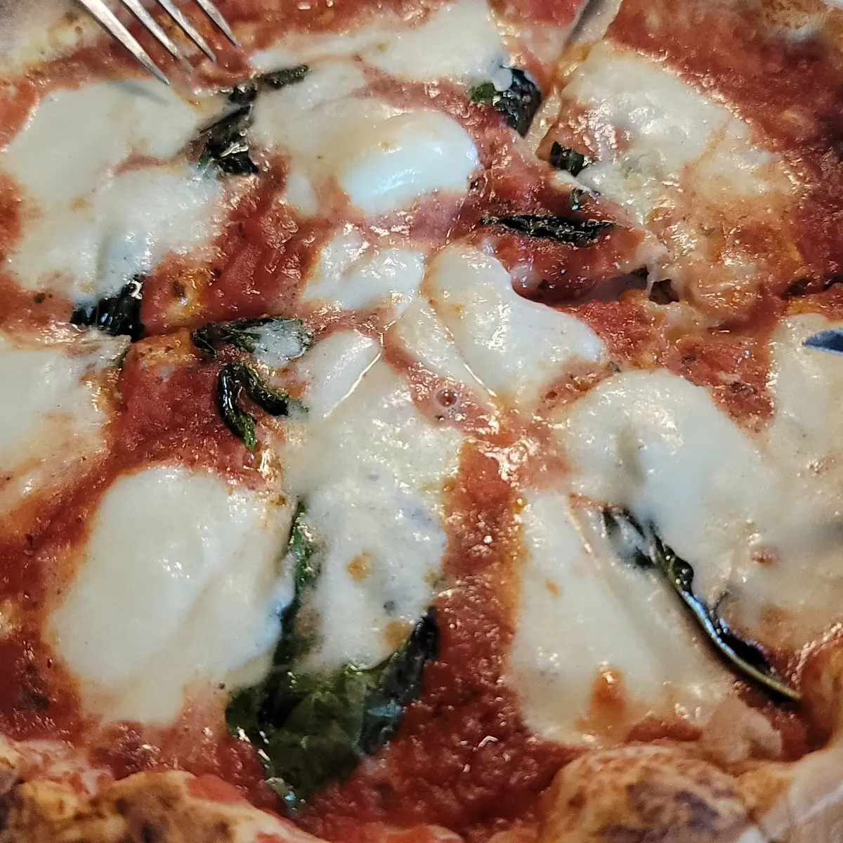 Pizza Margherita