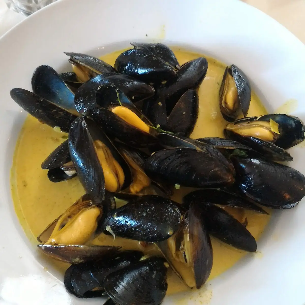 Steamed Mussels