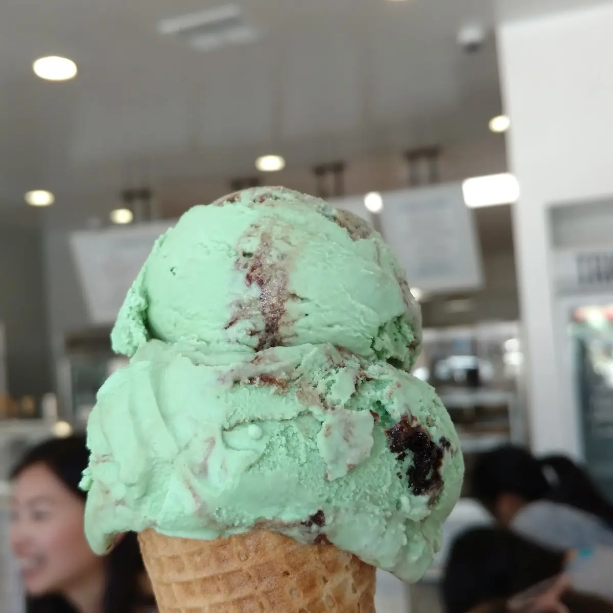 Mint Chocolate Ice Cream Cone
