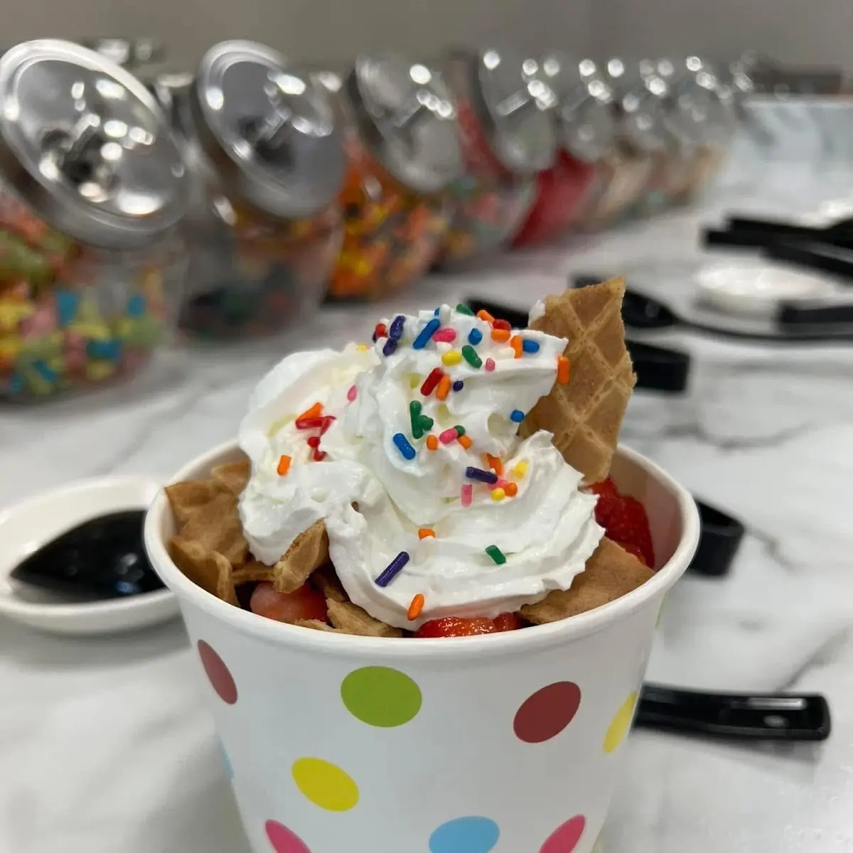 Self-Serve Froyo and Toppings
