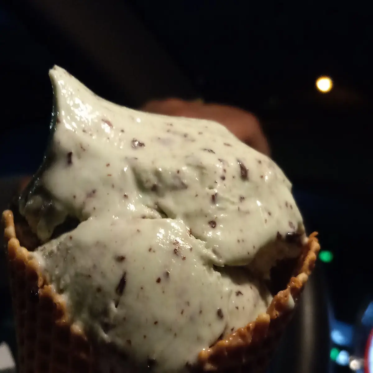 Mint Chocolate Chip Double Dip Cone