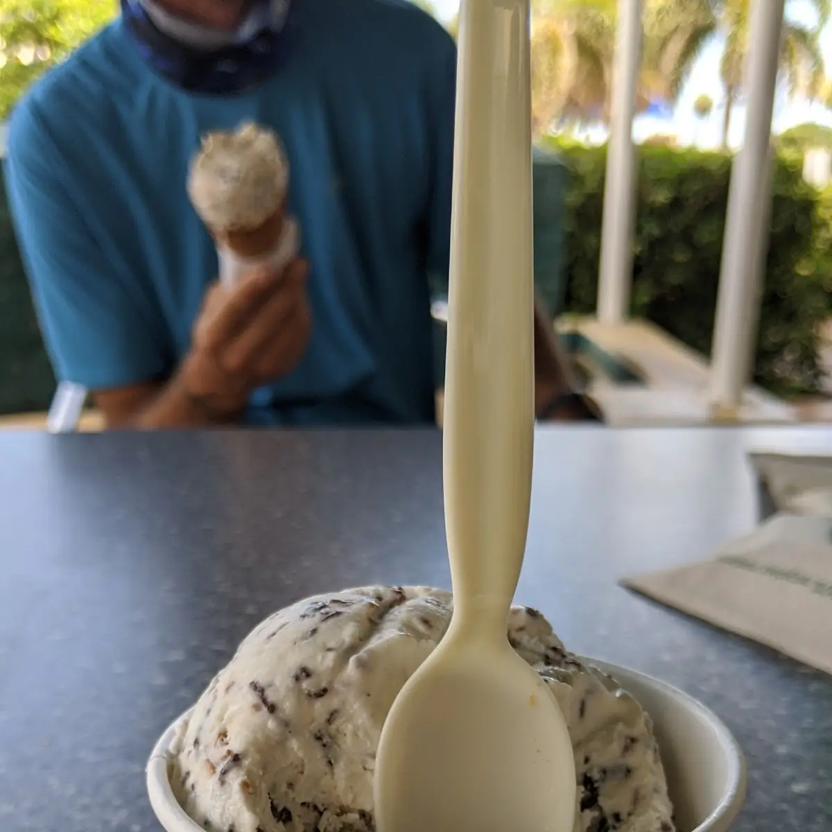 Toasted Coconut Icecream