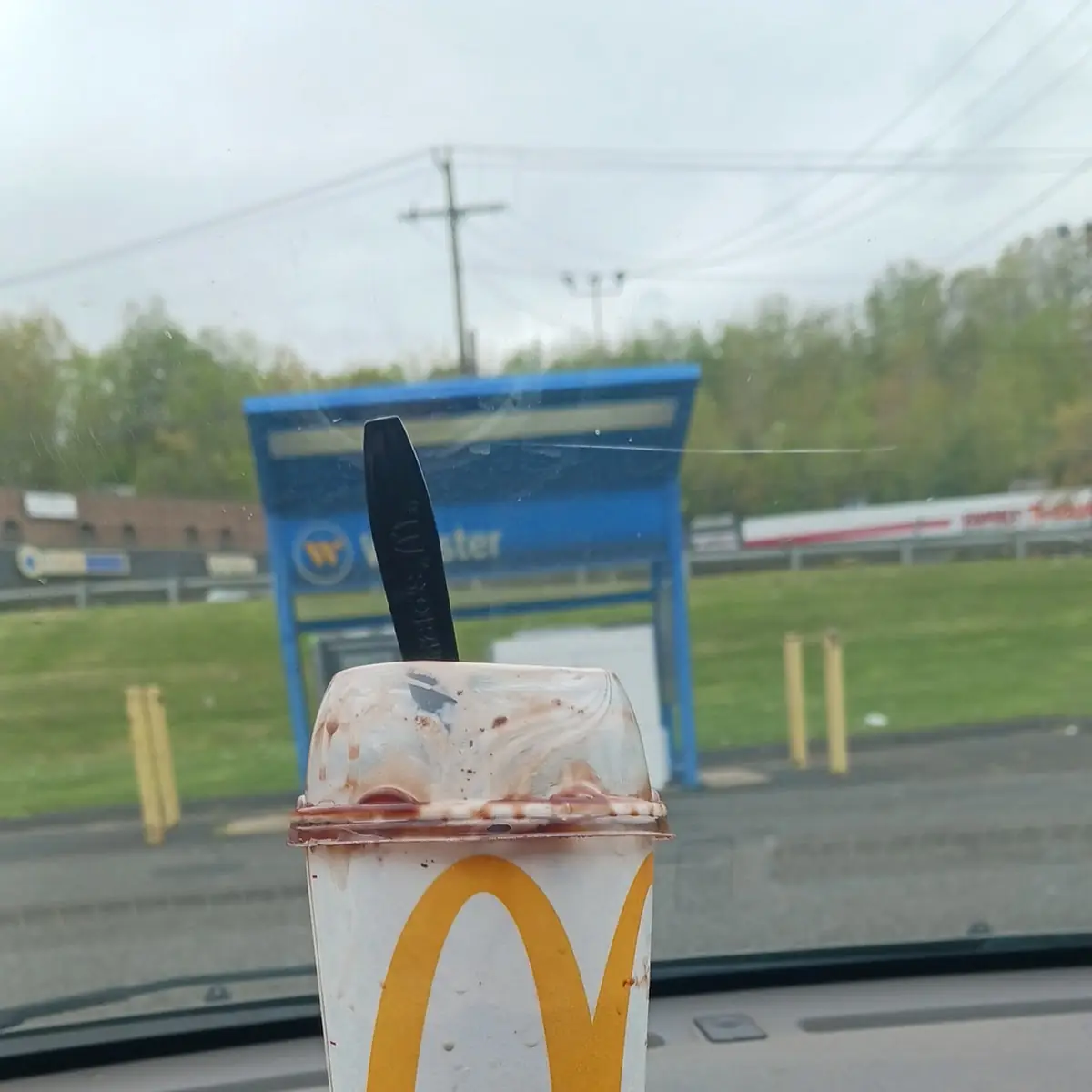 Mcflurry with Oreo Cookies