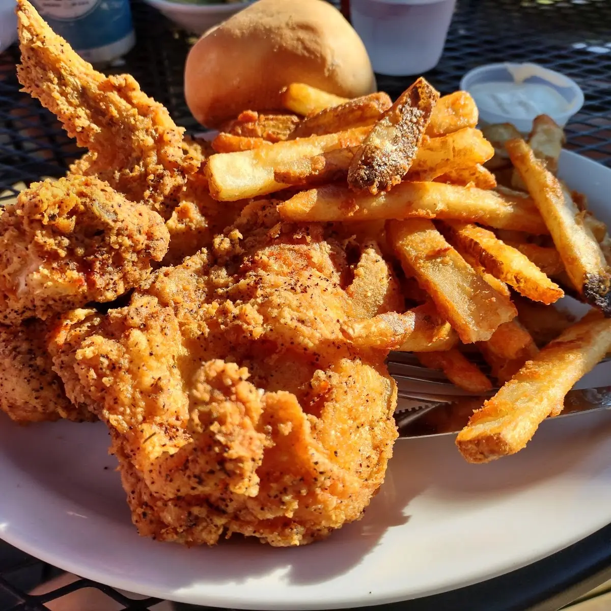 Fried Chicken and Steak Fries