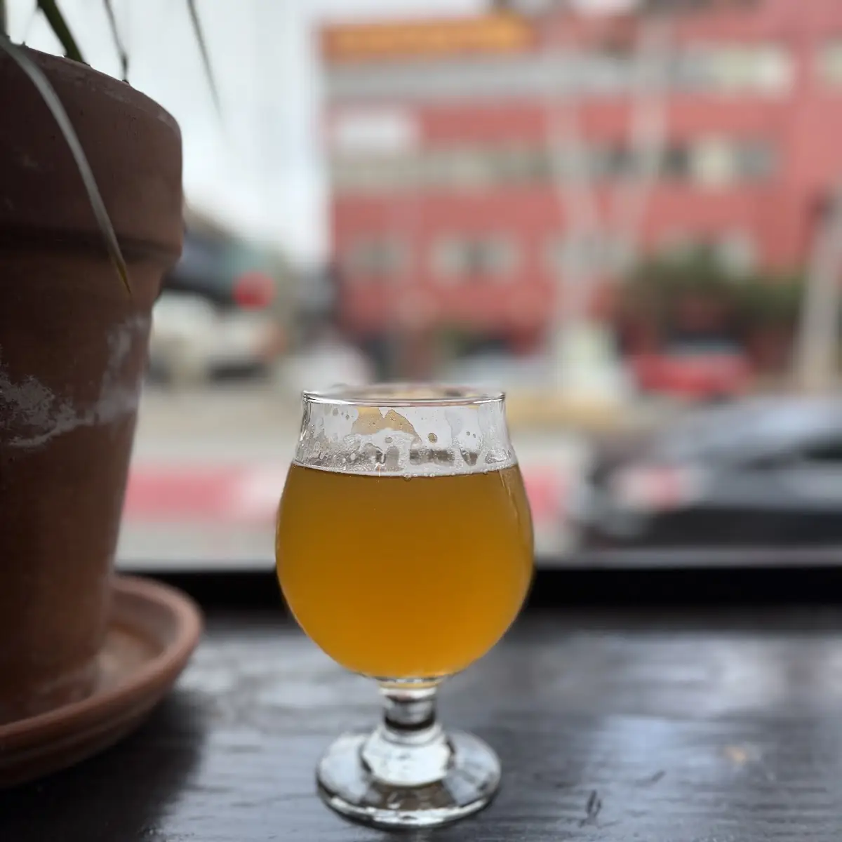 Hazy Pale Ale