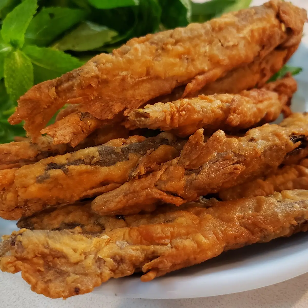 CÁ Bống Trứng