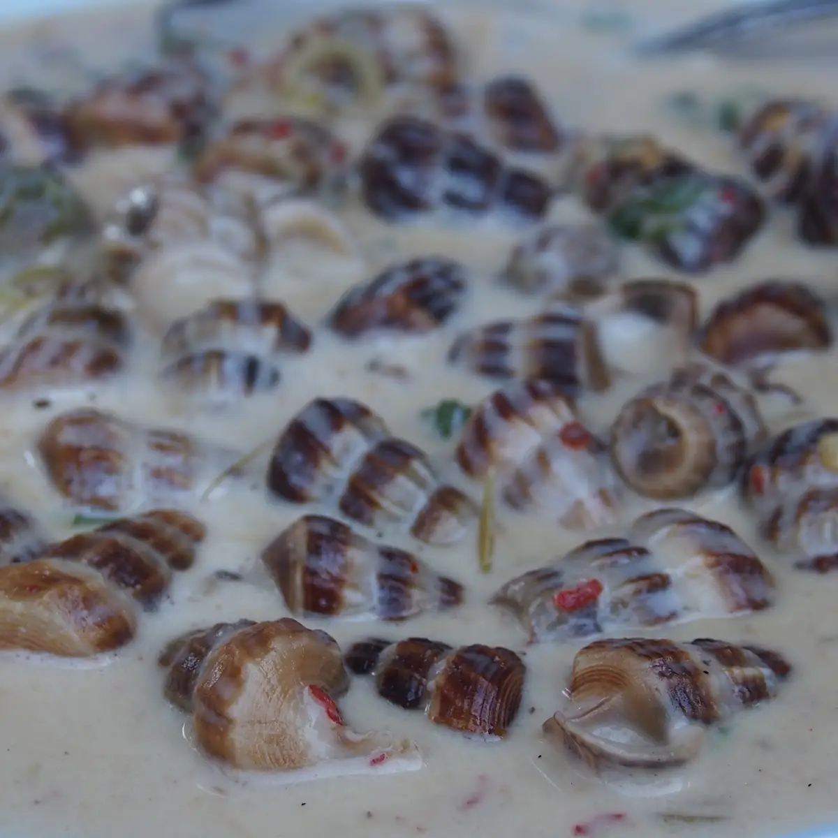 Snails in Creamy Garlic Sauce
